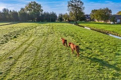Makelaardij IJsselstein Lopikerweg-oost 29A Makelaardij IJsselstein Lopik 45.jpg